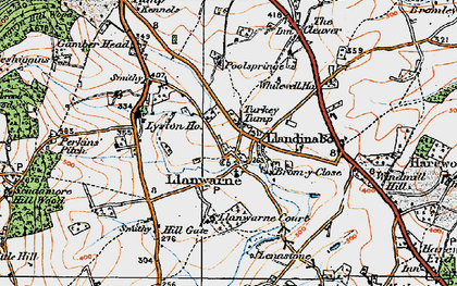 Old map of Turkey Tump in 1919