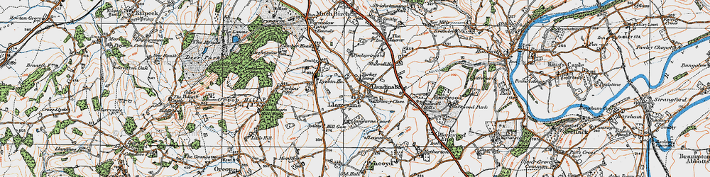 Old map of Turkey Tump in 1919