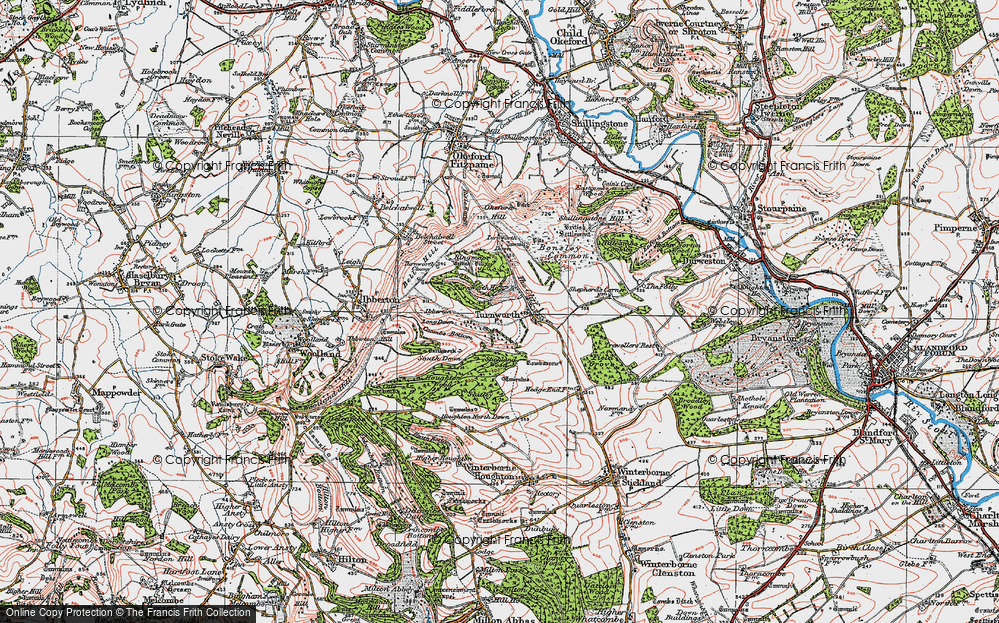 Old Map of Historic Map covering Bonsley Common in 1919