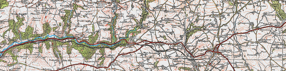 Old map of Twelvewoods in 1919