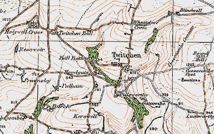 Old map of Twitchen Mill in 1919