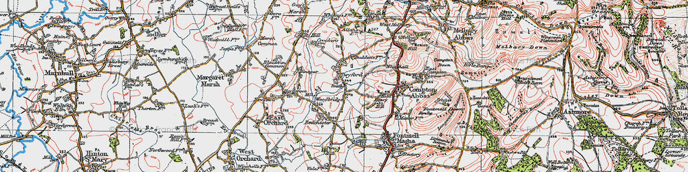 Old map of Twyford in 1919