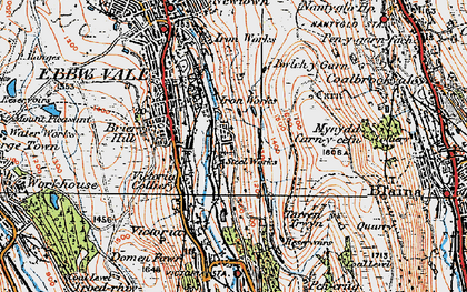 Old map of Ty Llwyn in 1919