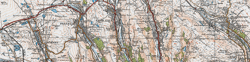 Old map of Ty Llwyn in 1919