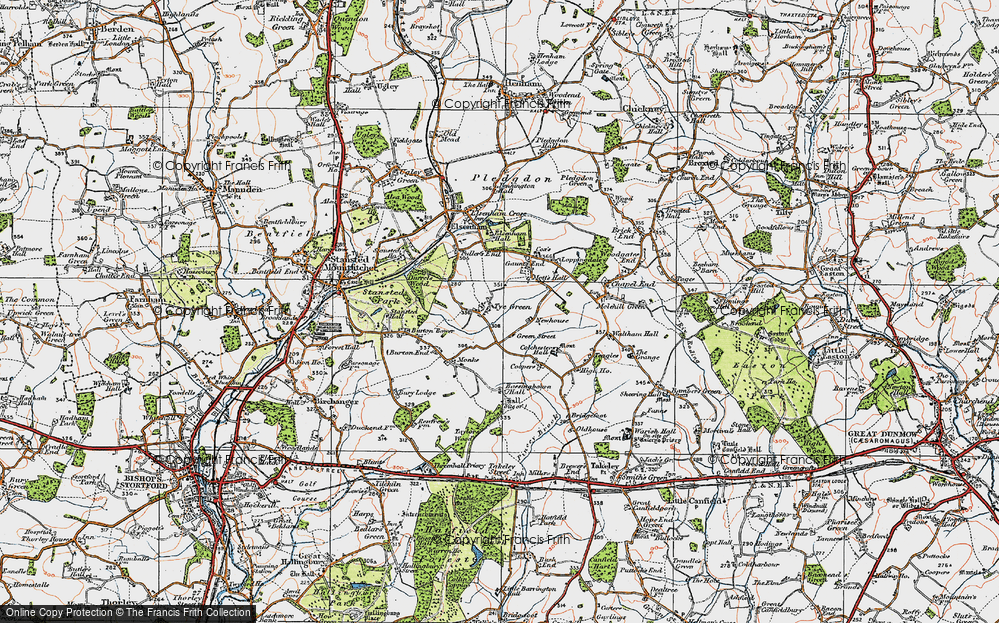 Old Map of Tye Green, 1919 in 1919