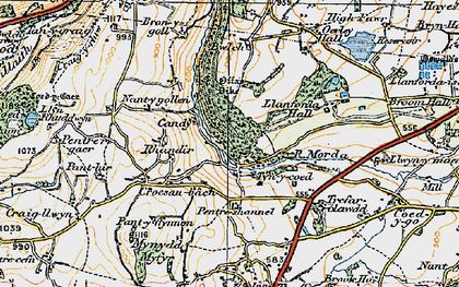 Old map of Tyn-y-coed in 1921