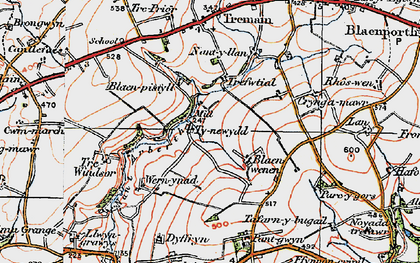 Old map of Trewindsor in 1923