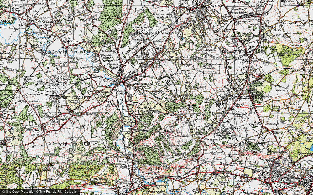 Old Map of Tyrell's Wood, 1920 in 1920