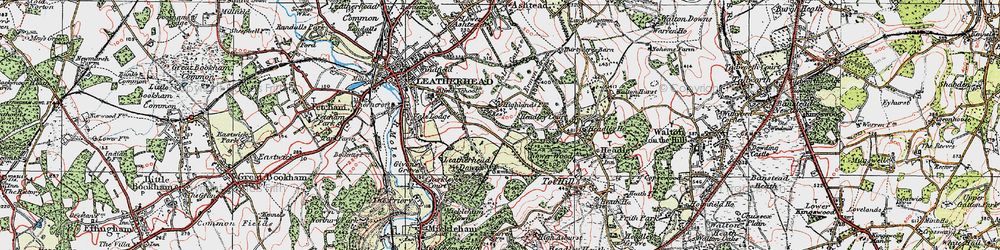 Old map of Tyrell's Wood in 1920