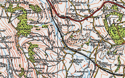 Old map of Umborne in 1919