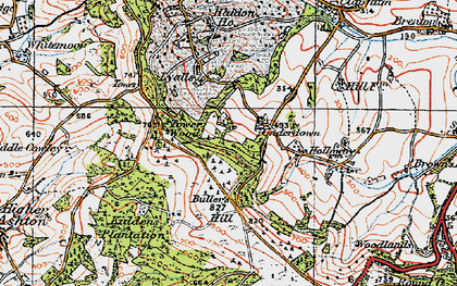 Old map of Buller's Hill in 1919