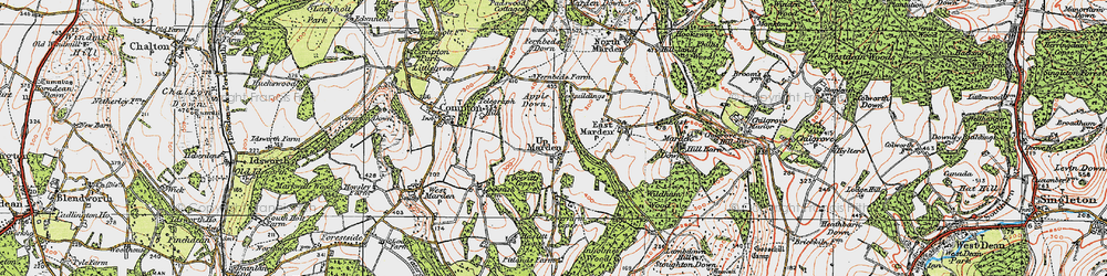 Old map of Up Marden in 1919