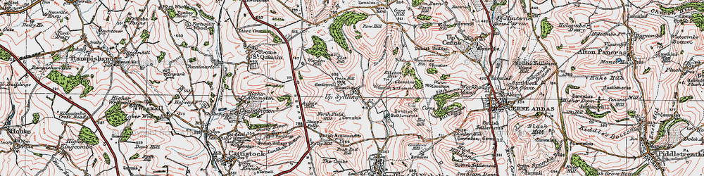 Old map of Wardon Hill in 1919