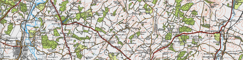 Old map of Upham in 1919