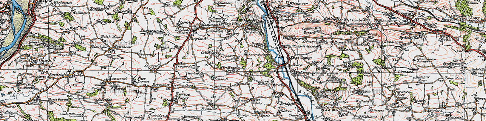 Old map of Uppacott in 1919