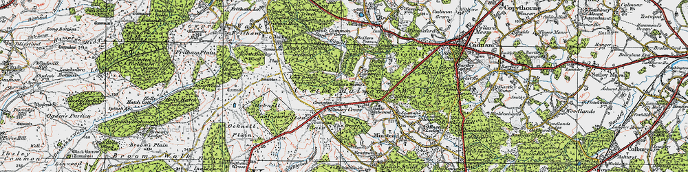 Old map of Blackthorn Copse in 1919