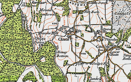 Old map of Stert Copse in 1919