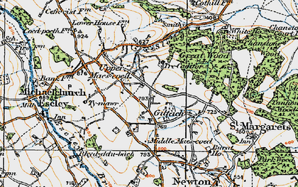 Old map of Upper Maes-coed in 1920