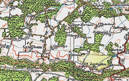 Old map of Upper Norwood in 1920