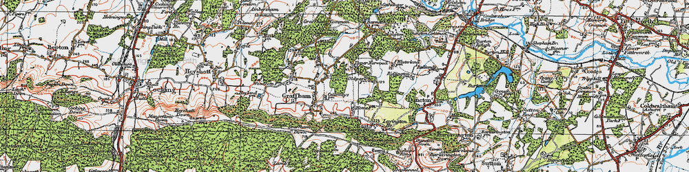 Old map of Upper Norwood in 1920