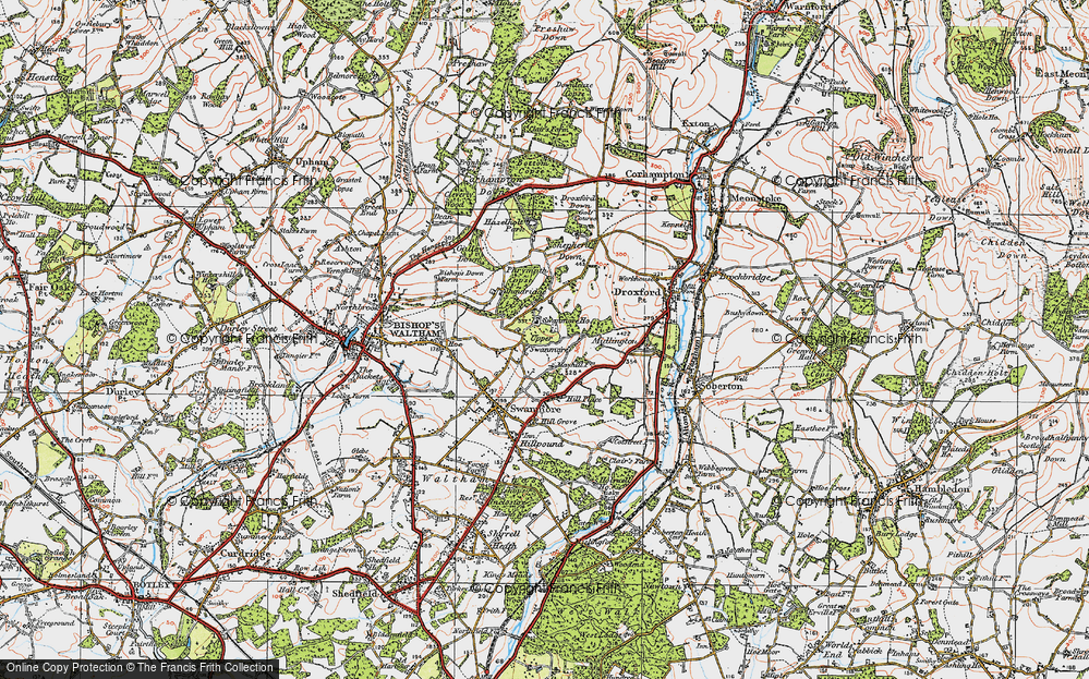 In 1919