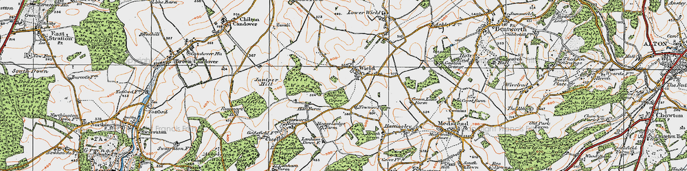 Old map of Wield Wood in 1919
