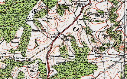 Old map of Benges Wood in 1920