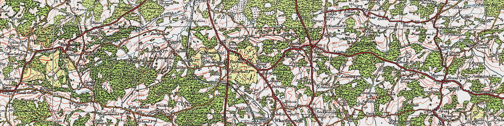 Old map of Barne's Wood in 1921