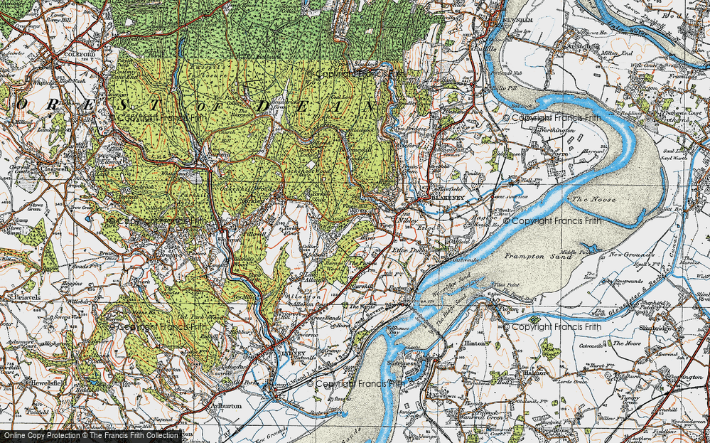 Old Map of Viney Hill, 1919 in 1919