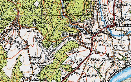 Old map of Viney Hill in 1919