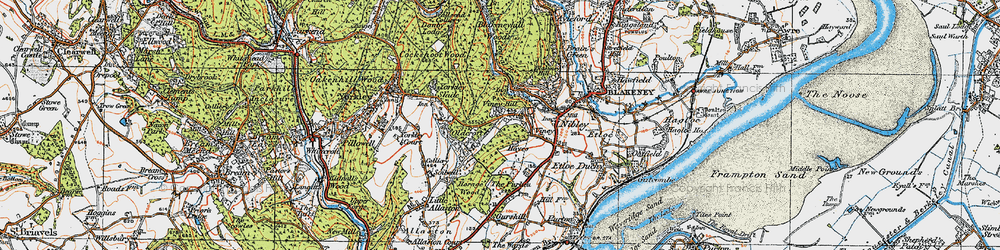 Old map of Viney Hill in 1919