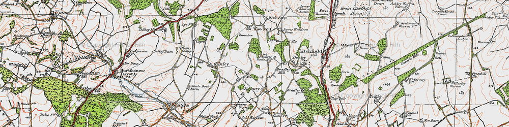 Old map of Wadwick in 1919