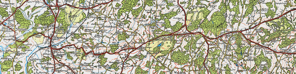 Old map of Waldron Down in 1920