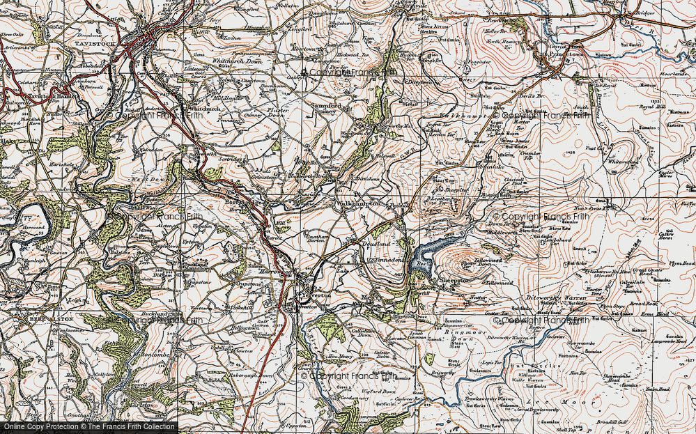Old Map of Walkhampton, 1919 in 1919