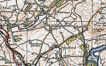 Old map of Walkhampton in 1919