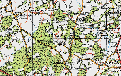 Old map of Walliswood in 1920