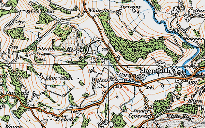 Old map of Blackbrook Ho in 1919