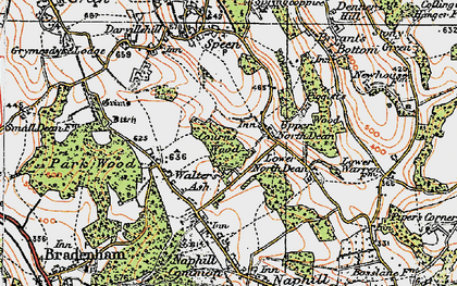 Old map of Walter's Ash in 1919