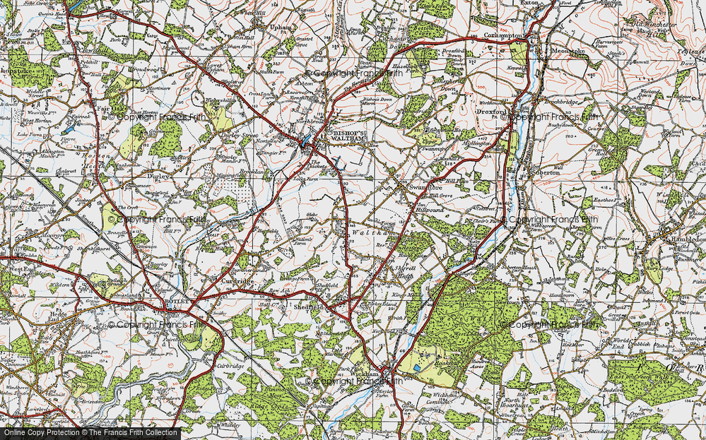 Old Map of Waltham Chase, 1919 in 1919