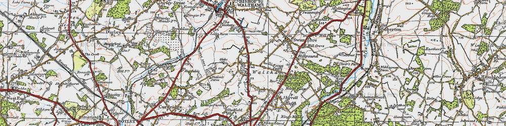 Old map of Waltham Chase in 1919