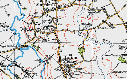 Old map of Walton Elm in 1919