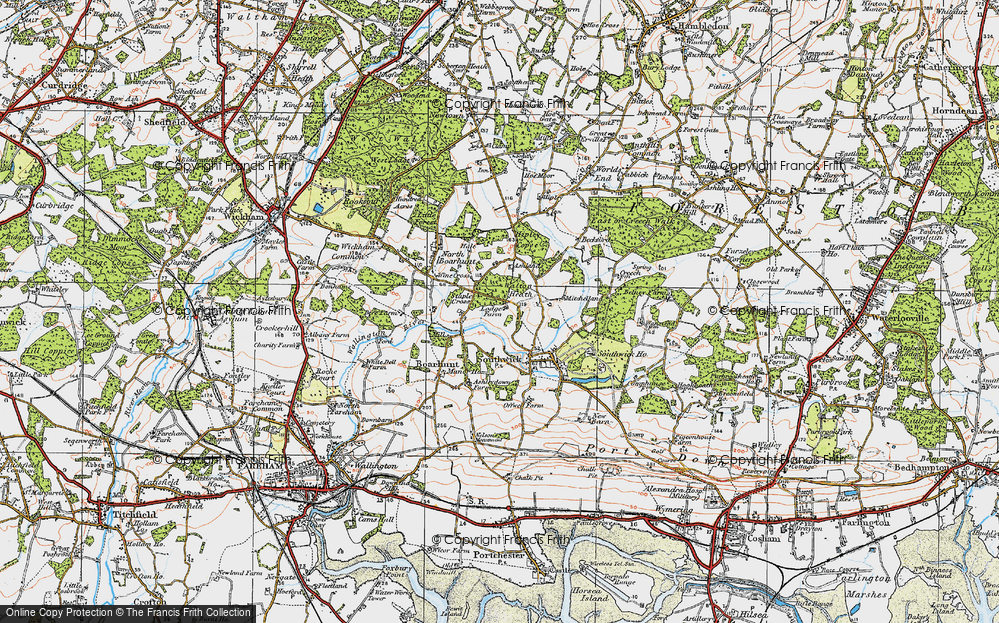 Old Map of Walton Heath, 1919 in 1919