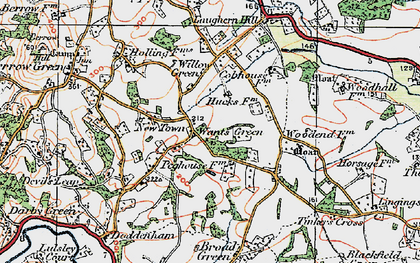 Old map of Wants Green in 1920