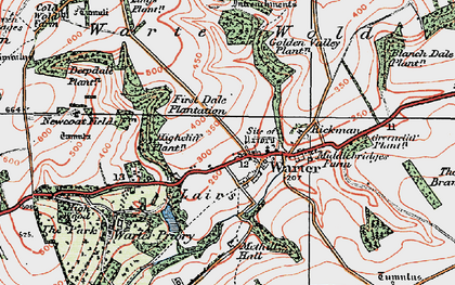 Old map of Blanch Dale Plantn in 1924