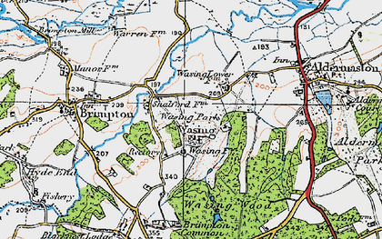 Old map of Wasing in 1919