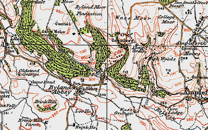 Old map of Wass in 1925