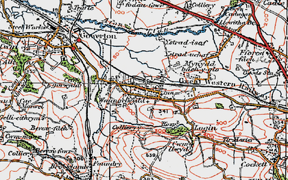 Old map of Waunarlwydd in 1923