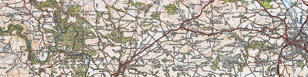 Old map of Ashburton Down in 1919