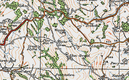 Old map of Wayne Green in 1919