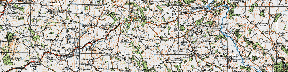 Old map of Wayne Green in 1919